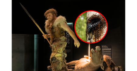 Naukowcy zbadali medycynę neandertalczyków. Znali antyseptykę