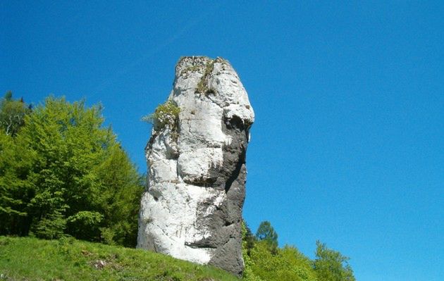 Obraz