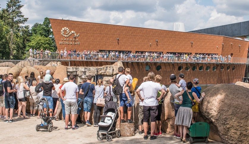 "Kiedy miałeś plan". Gigantyczna kolejka we Wrocławiu