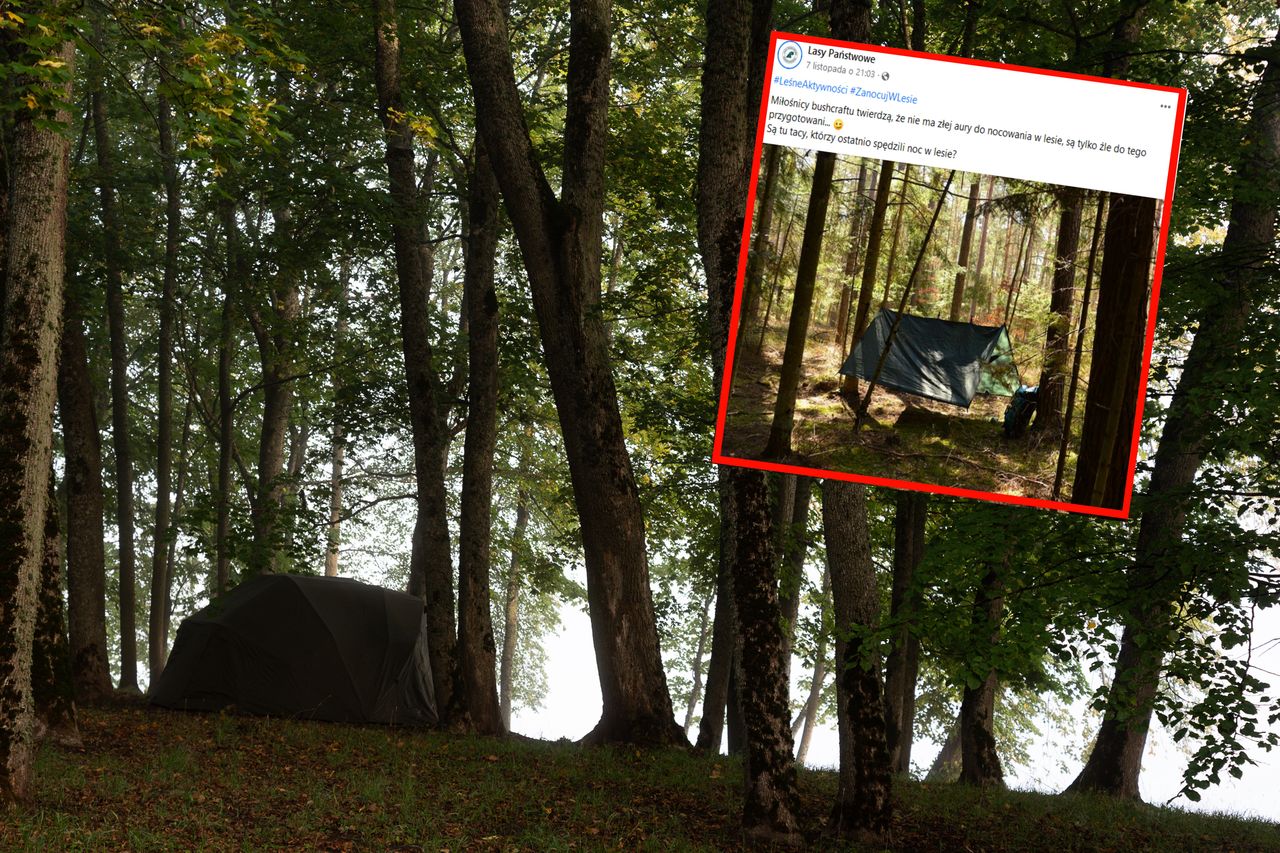 Niefortunny wpis na Facebooku Lasów Państwowych. Internauci oburzeni