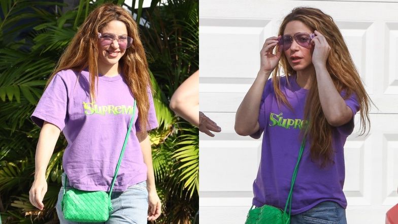 Shakira szuka domu w Miami