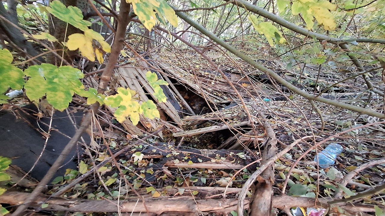 Tarnów: Wysypisko zamiast nowej atrakcji turystycznej. Pozostałości barbakanu z czasów hetmana od dekady czekają na rewitalizację