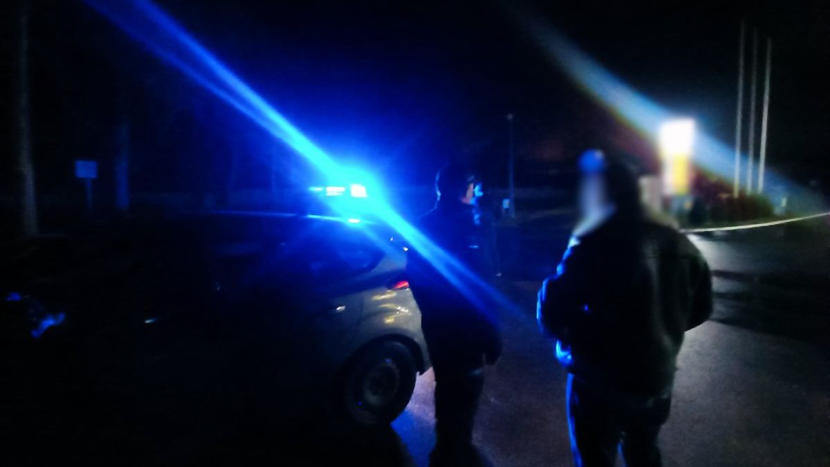 Policjanci w akcji 