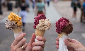 Restauratorka, której przyznano dotację na lody: Żyć się odechciewa