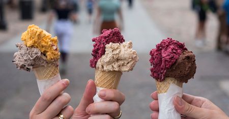Restauratorka, której przyznano dotację na lody: Żyć się odechciewa
