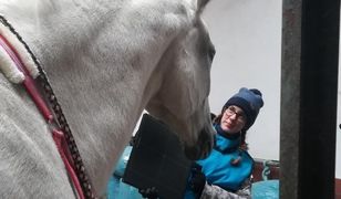 Bielsko-Biała. Pomagają koniom. Potrzebują wsparcia na dentystę