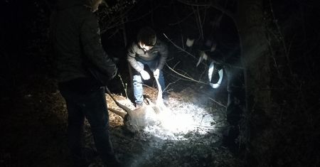Szokujące znalezisko! Koziołek sarny z odciętą głową znaleziony w krzakach przy ulicy
