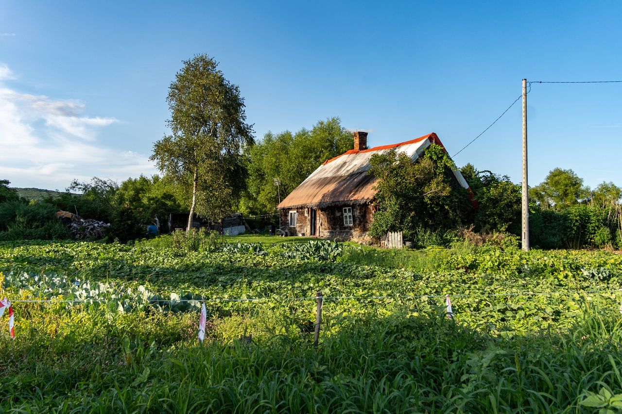 Zabudowania w Żuławce