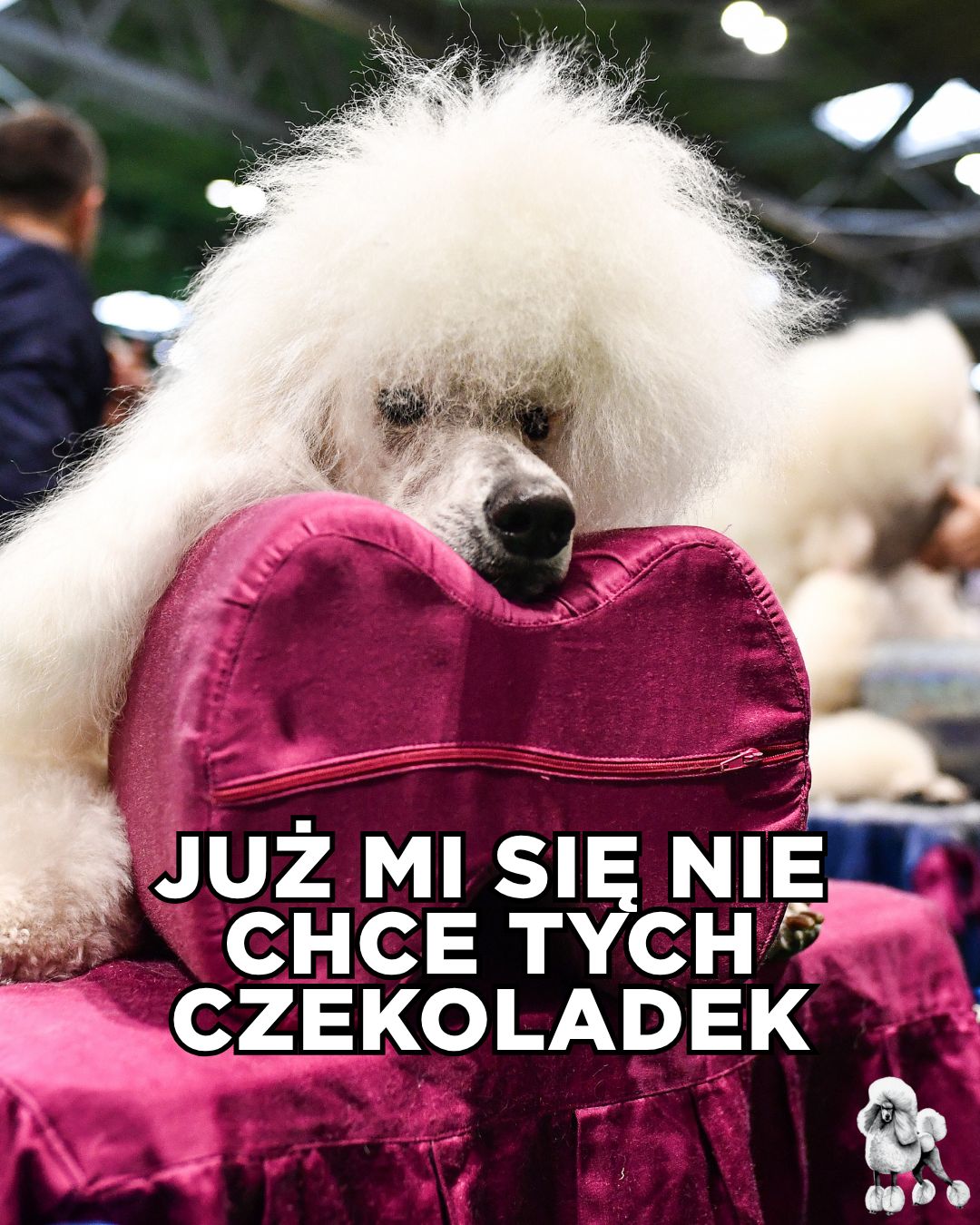 Najlepsze TEKSTY z "Love is Blind"