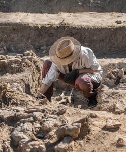 Niezwykłe odkrycie polskich badaczy. Oto co wykopali w Kuwejcie