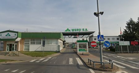 Kości zamiast kwiatów. Szokujące znalezisko na giełdzie w Poznaniu
