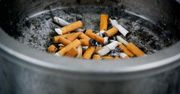 Zakończenie ważności "starych" akcyz na papierosy. Co to oznacza dla palaczy?