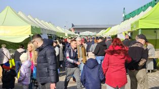 Białystok: Giełda na Andersa. Widać już wiosnę