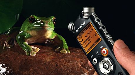 Fotograficzny Flash News 1