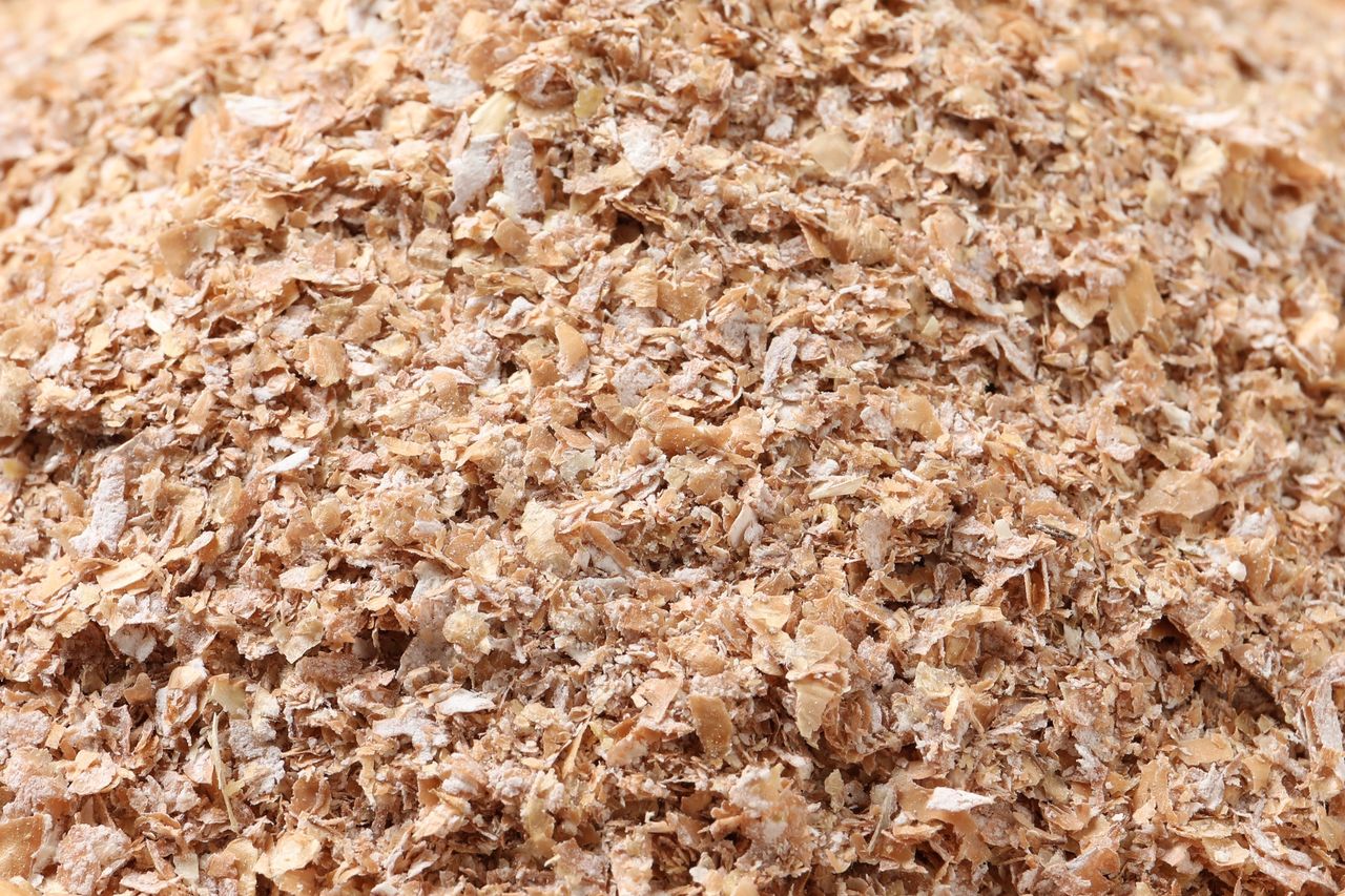 Wiele osób omija je obojętnie w sklepie. Wymiatają złogi z jelit jak miotełka