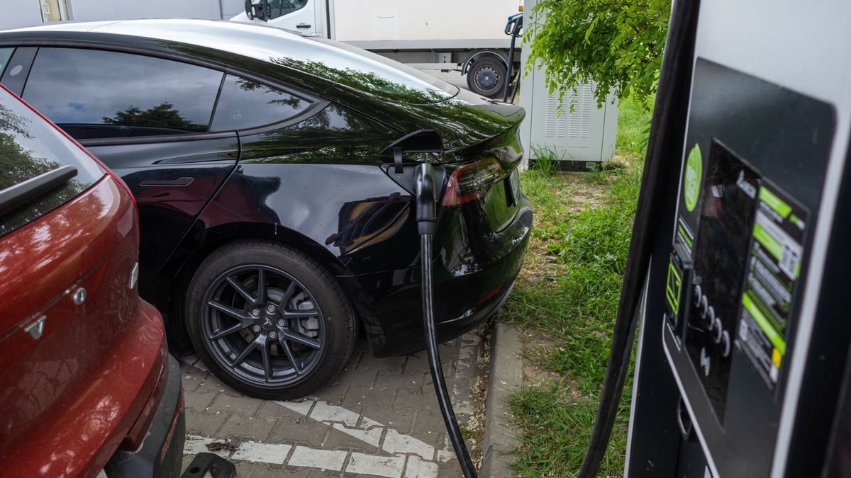 Tych aut przybywa w Polsce. Wzrost o ponad 100 procent