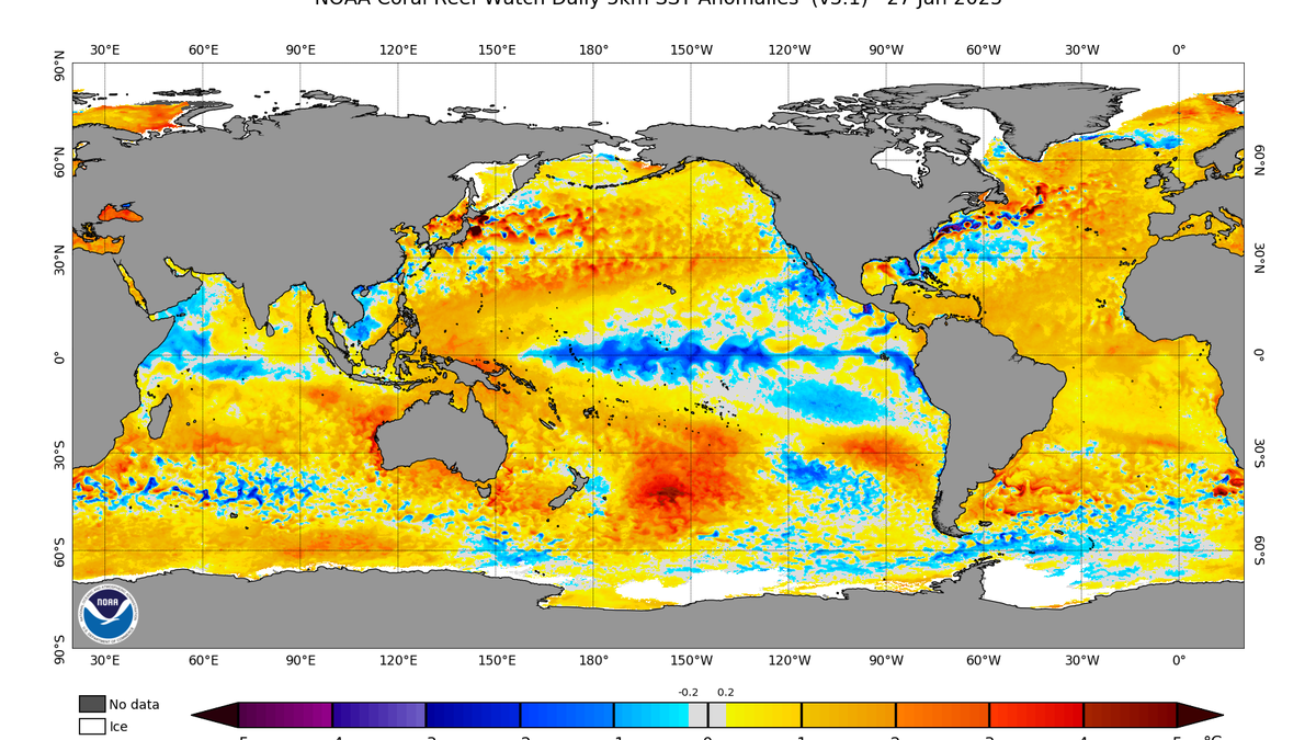 Od lat 80-tych temperatura oceanów wzrosła czterokrotnie.