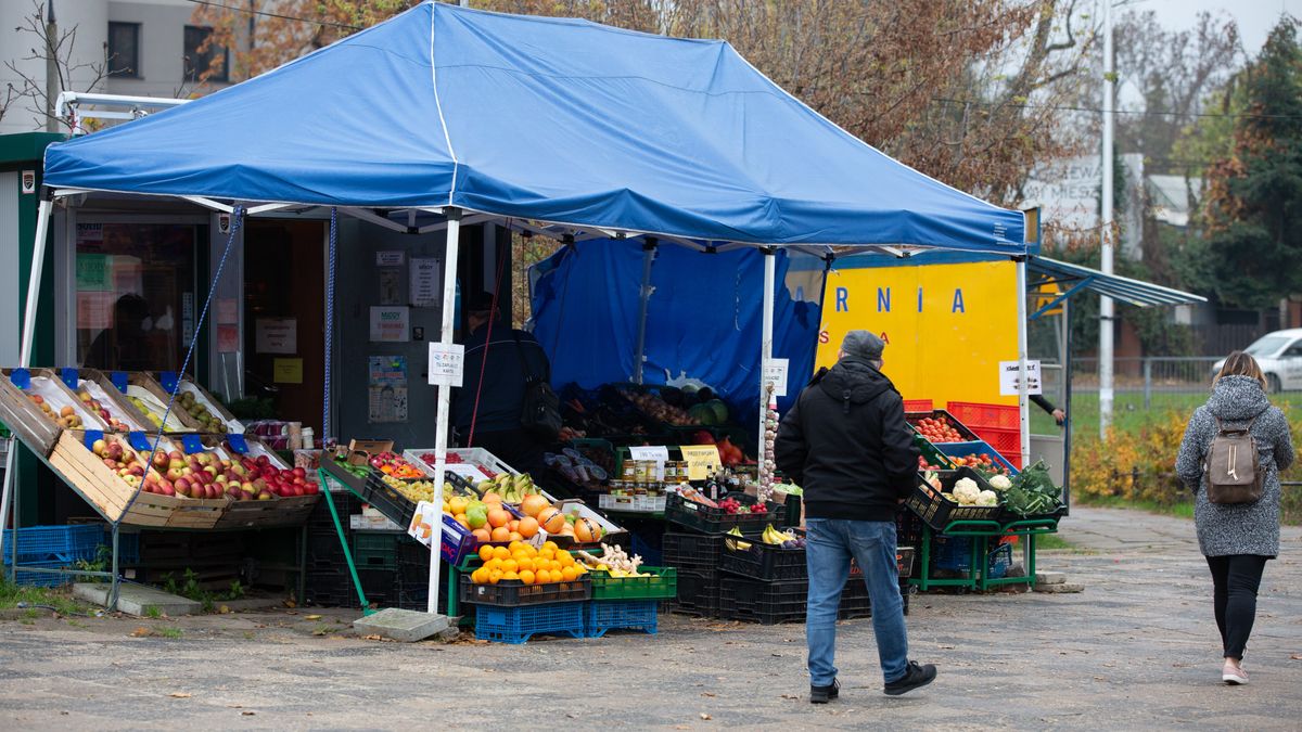 Niedziela handlowa 2020. Czy uda nam się dzisiaj zrobić zakupy?