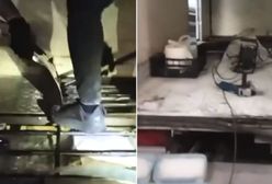 Niespodzianka pod podłogą ciężarówki na A4. Kierowca miał wiele na sumieniu