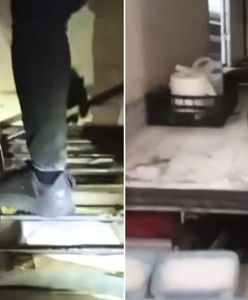 Niespodzianka pod podłogą ciężarówki na A4. Kierowca miał wiele na sumieniu