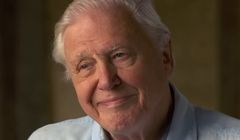 Słynny dziennikarz przyrodniczy BBC kończy 99 lat. Przygotował nowy film