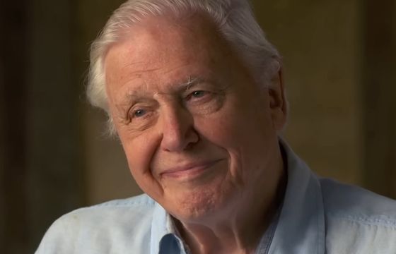 Słynny dziennikarz przyrodniczy BBC kończy 99 lat. Przygotował nowy film