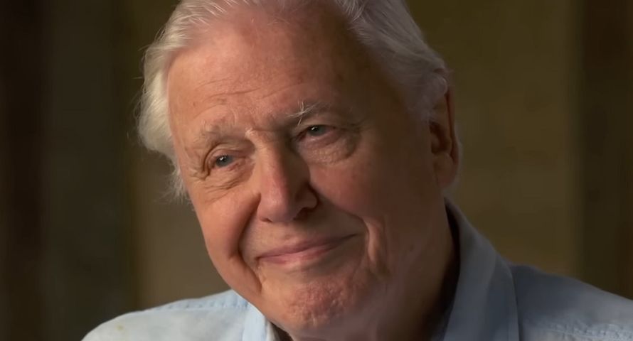 Słynny dziennikarz przyrodniczy BBC kończy 99 lat. Przygotował nowy film