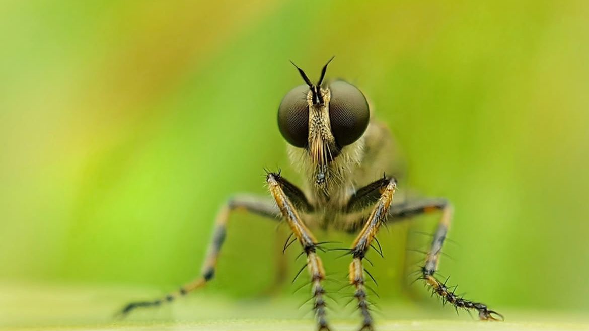 17 polskich nazwisk w selekcji Mobile Photography Awards 2018 1