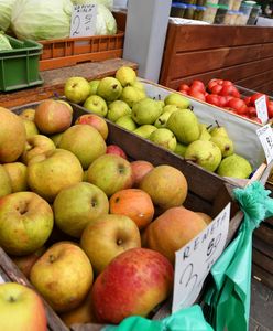 Ukraina ustępuje? Nagła deklaracja wiceministra
