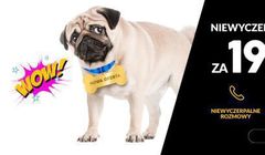 A2mobile z nielimitowaną ofertą Niewyczerpalne Pakiety za 19,90 złotych