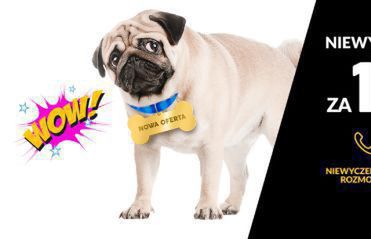 A2mobile z nielimitowaną ofertą Niewyczerpalne Pakiety za 19,90 złotych