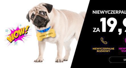 A2mobile z nielimitowaną ofertą Niewyczerpalne Pakiety za 19,90 złotych