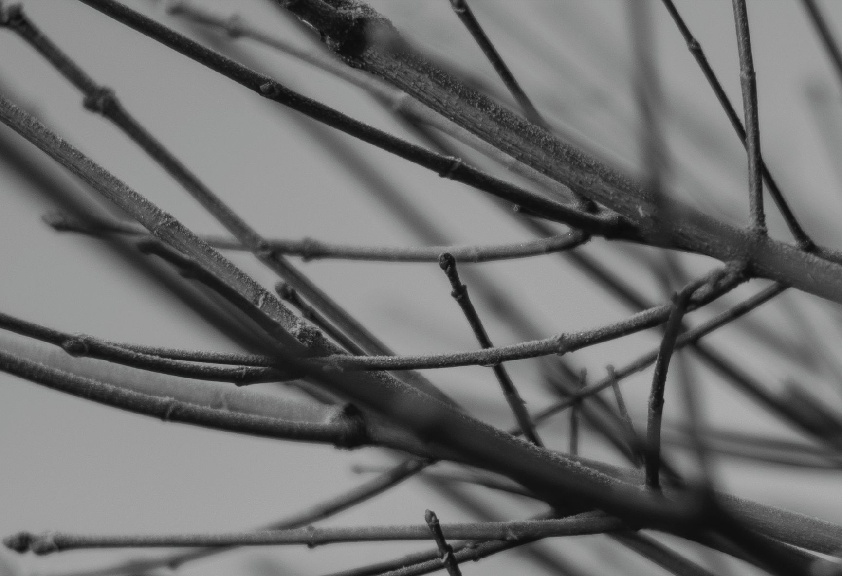 Voigtländer VM 50 mm f/1.1 Nokton - bardzo jasna pięćdziesiątka, która kreuje własną rzeczywistość [test] 35