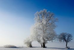 Pierwszy dzień zimy. Kiedy wypada początek astronomicznej, a kiedy kalendarzowej pory roku?