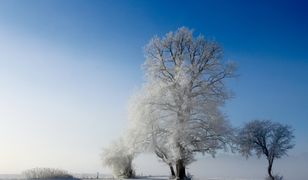Pierwszy dzień zimy. Kiedy wypada początek astronomicznej, a kiedy kalendarzowej pory roku?