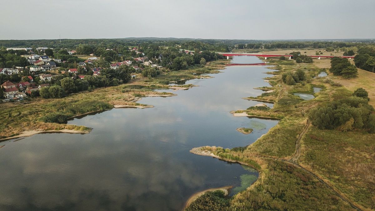 Odra, odcinek w Cigacicach. Zatrucie rzeki odczuwają już niemieccy przedsiębiorcy