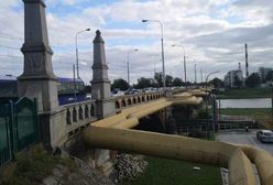 Wrocław. Most Osobowicki do remontu. Rozstrzygnięto przetarg na zaprojektowanie przebudowy