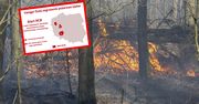 Zagrożenie pożarowe w lasach. RCB wysłało alert
