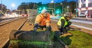 Warszawa: Kolejne torowiska tramwajowe będą zielone