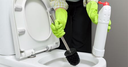 Szczotka WC będzie czystsza i świeższa. Potrzebujesz kilku kropli
