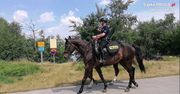 Dąbrowa Górnicza. Patrole konne dbają o bezpieczeństwo nad Pogorią 4