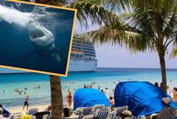 Atak rekina na Bahamach. Zginęła amerykańska turystka