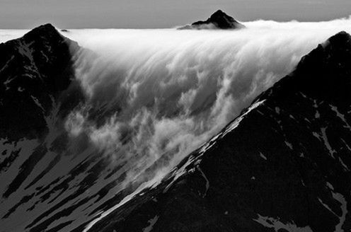 Polacy nagrodzeni w European Wildlife Photographer of the Year 2009 3