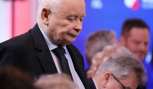 PiS dwa lata po zaprzysiężeniu rządu Tuska [OPINIA]