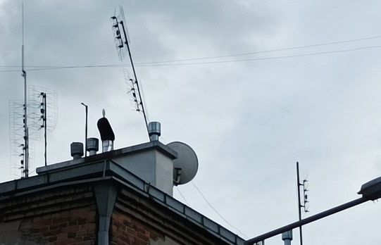 KRRiT może podnieść opłaty za emisje w DVB-T i DVB-T2