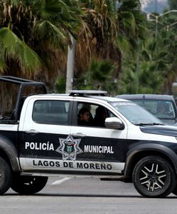 Masakra w Meksyku. Armia zabiła 12 "uzbrojonych cywilów"