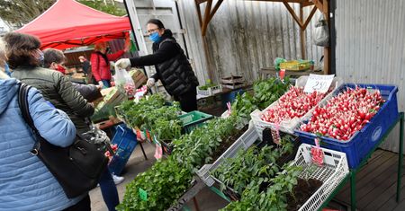 Czereśnie po 70 zł za kilo. Uwaga. To import z kraju ogarniętego epidemią koronawirusa
