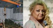 CBŚ znalazło 170 KRZAKÓW MARIHUANY... w knajpie po "rewolucji" Gessler!
