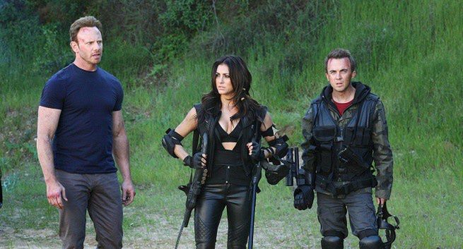 "Rekinado" wraca w sierpniu