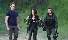 "Rekinado" wraca w sierpniu